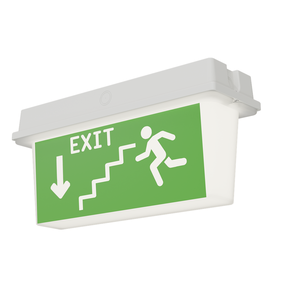 Светильник аварийный ДПО78-3-113 Neptun PT LED АСТЗ (Ардатов)