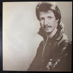 Виниловая пластинка Patrick Simmons ‎– Arcade LP