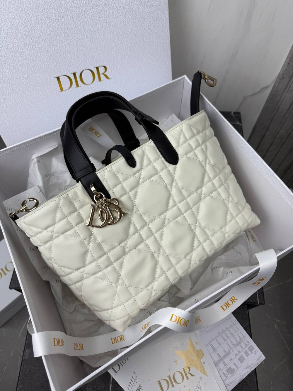 Сумка Christian Dior