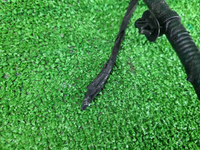 IMG_20260417_102011.JPG