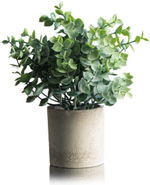 Растение искусственное в горшке Буксус 7,5х21см