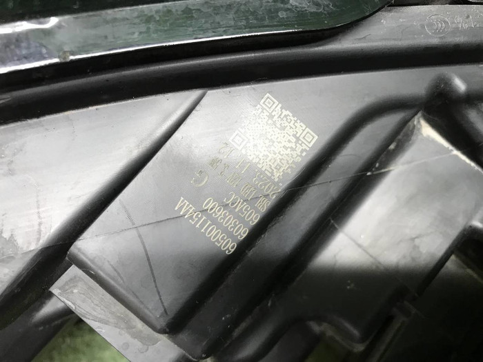 IMG_9372.JPG