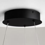 Подвесной светильник Maytoni MOD241PL-L60BK