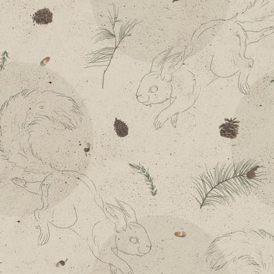 Зимние белочки контур