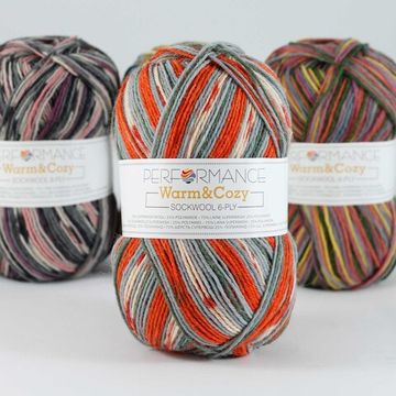 Пряжа Warm & Cozy 6-ply PERFORMANCE (75% шерсть супервош, 25% полиамид)
