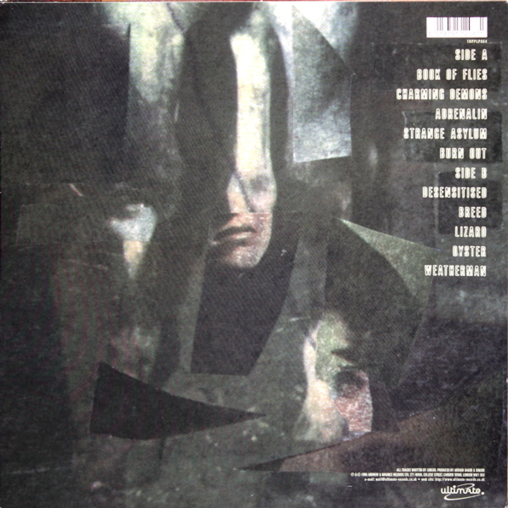 Senser / Asylum (LP)