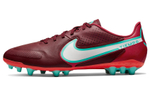 Кроссовки Nike Legend 9 Academy Ag