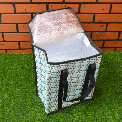 Термосумка 17л 28*17*35см Astra MIX