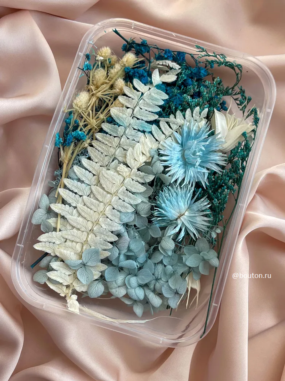 Сухоцветы Синие
