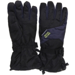 Перчатки для зимних видов спорта E410BG (размер L)