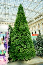 Большая елка «Русская императрица» ED (Литая хвоя) от 3 м до 8 м