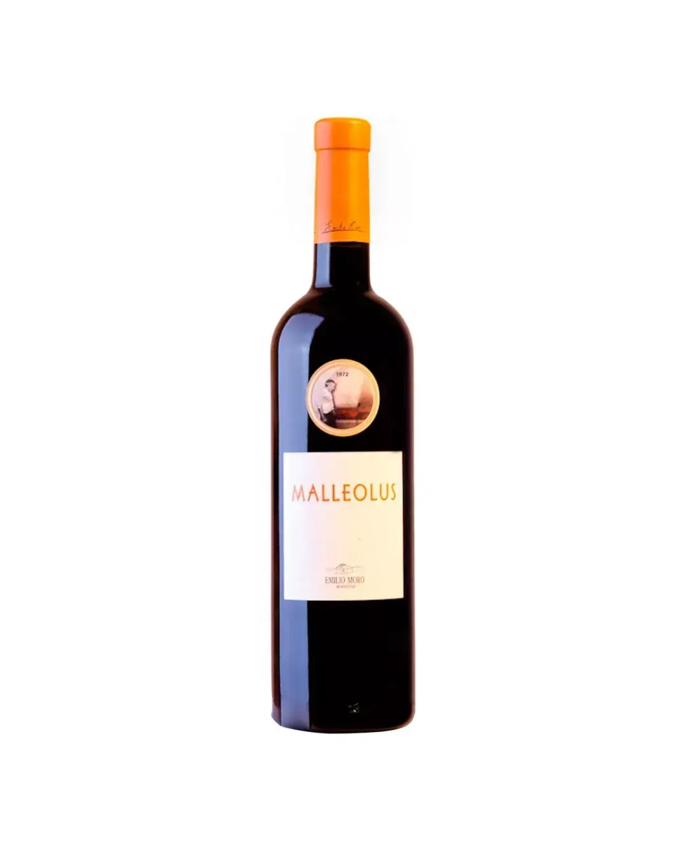 Malleolus