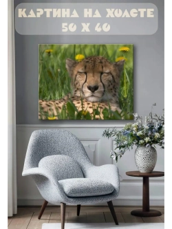 Картина на стену 40 X 50 Гепард