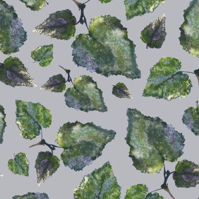 Листья берёзы №5.