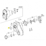 0169973646 Radial seal OEM