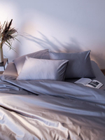 Комплект постельного белья из премиального сатина светло-серого цвета из коллекции essential, 150х20
