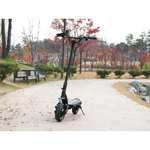 Электросамокат Dualtron 2S