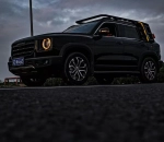 Платформа на крышу с боковой лестницей Combat Rider для Haval Dargo Хавал Хавейл Дарго