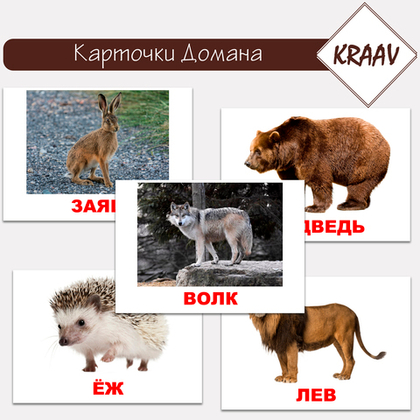 Карточки Домана "Дикие животные"