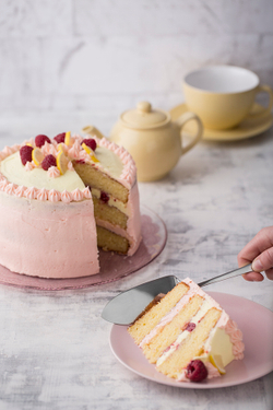 Лопатка для сервировки тортов и выпечки Select Viners