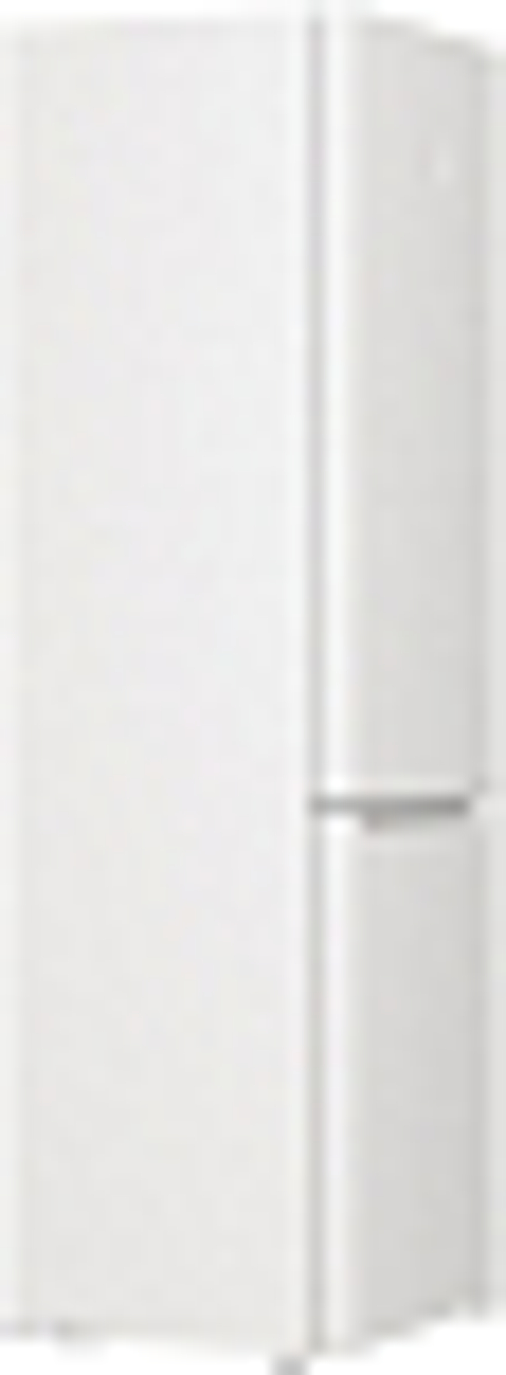 Отдельностоящий двухкамерный холодильник Gorenje RK6201SYW