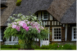 Floral Poetry in Normandy