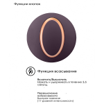 Фиолетовый вакуум-волновой клиторальный стимулятор Irresistible Seductive Purple IRR001PUR