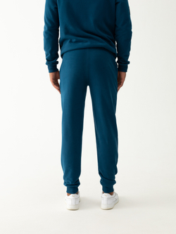 Костюм мужской спортивный (без начеса). Петроль