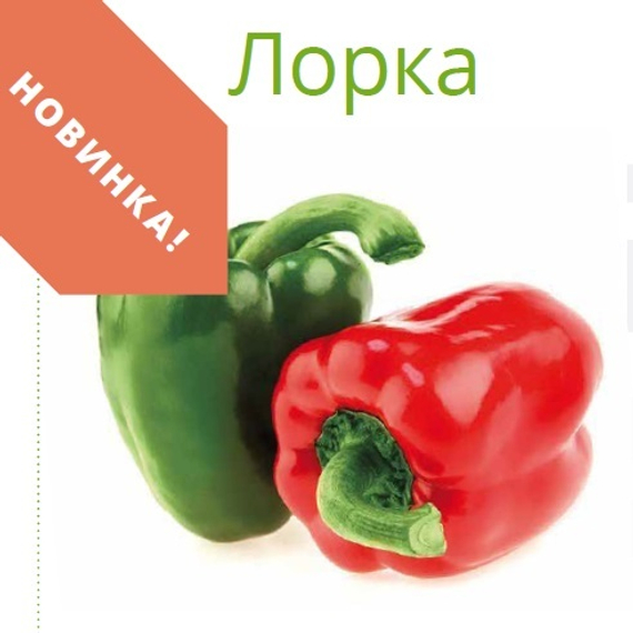 Лорка F1 семена перца сладкого (De Ruiter Seeds / Де Ройтер Сидс) – фото 1