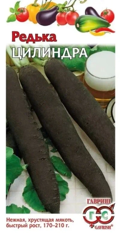 Редька черная