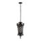 Уличный подвесной светильник Loft IT Tremezzo 100019P BS