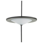 Подвесной светильник Odeon Light Steka 5012/10L