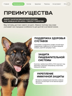 Корм сухой для щенков породы Немецкая овчарка, премиум полнорационный комплекс, с ягненком, 12 кг, QUATTRO
