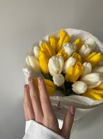Букет из 25 белых и желтых тюльпанов