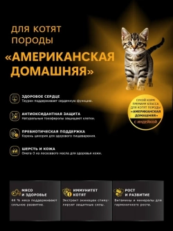 Корм для котят породы Американская домашняя, с индейкой, 2кг