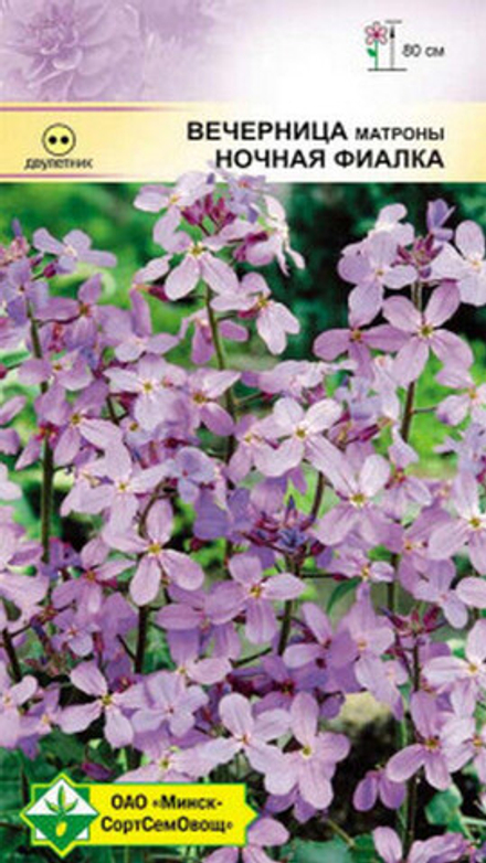 Вечерница матроны "Ночная Фиалка" 0,5г., Германия.