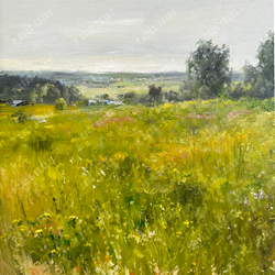 Плотников В.В. За околицей. Волгореченск. Холст, Масло. 2021г.  40х50см.