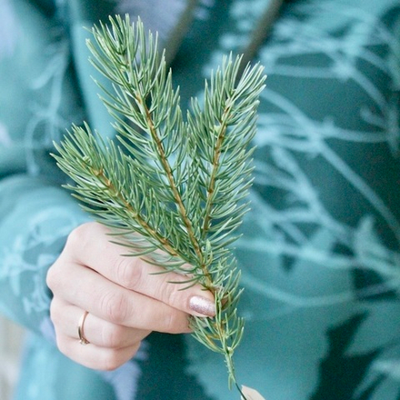 Ветка еловая зеленая 20 см