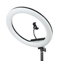 Кольцевой светодиодный осветитель Falcon Eyes BeautyLight 480RC LED