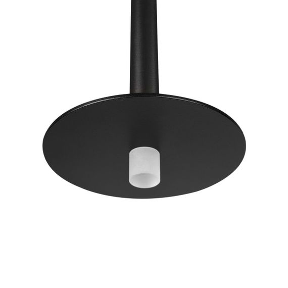 Подвесной светодиодный светильник Loft IT Reed 10358/830 Disk