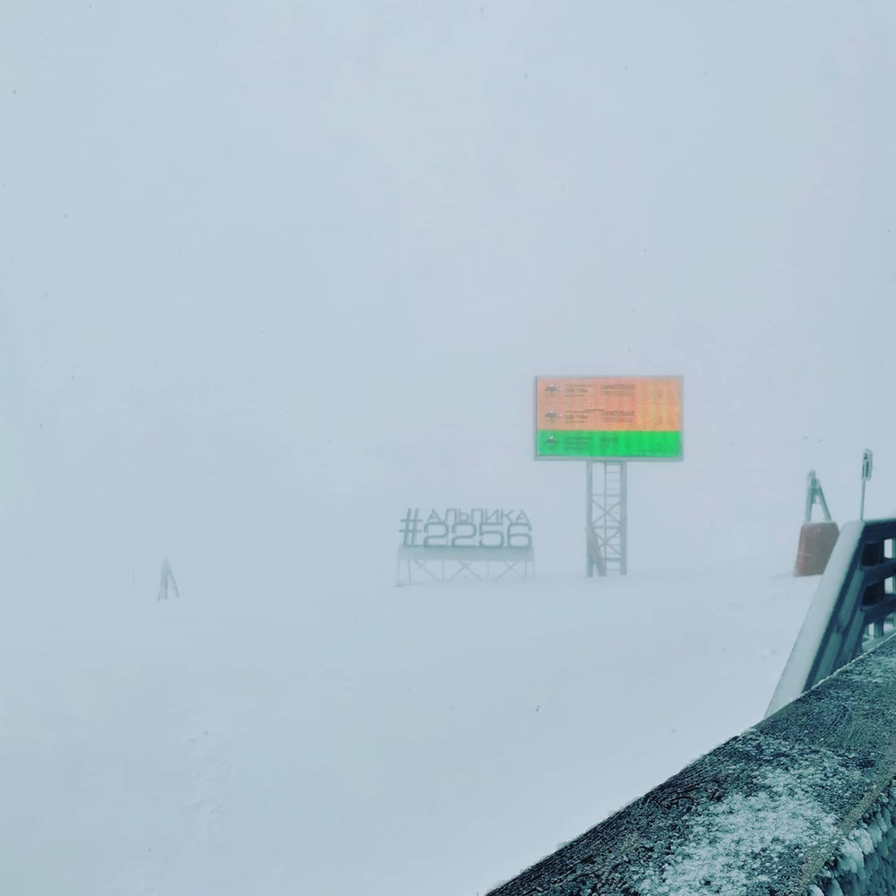 Грифон