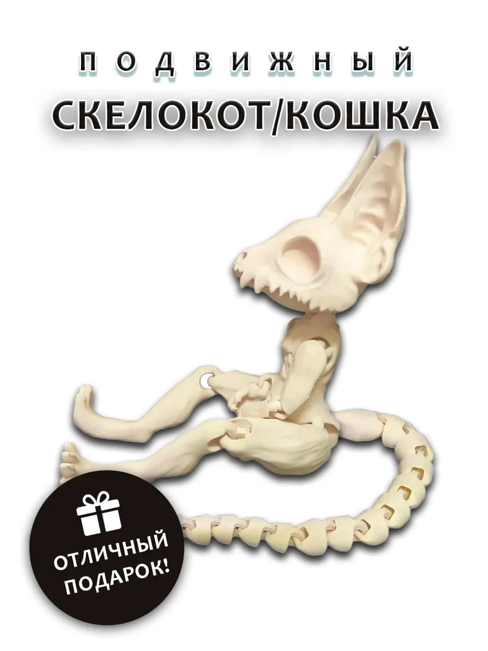 Скелет Кошки