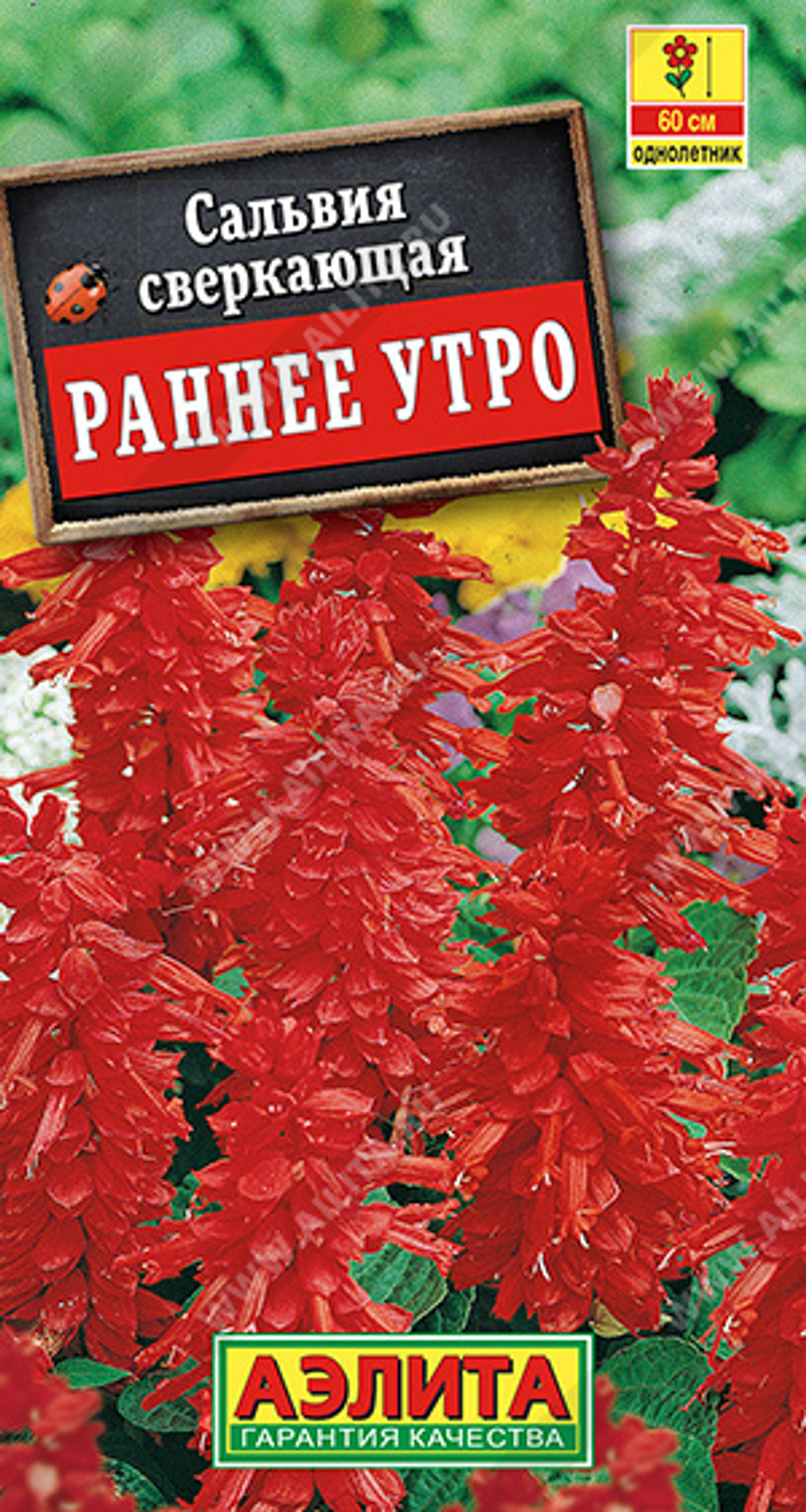 Сальвия Раннее утро 0,1гр Аэлита