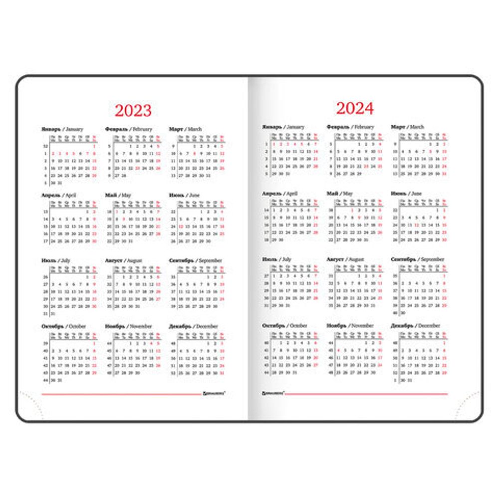 Ежедневник датированный 2023 А5 138x213 мм BRAUBERG "Holiday", под кожу, "зеркальный", черный, 114028