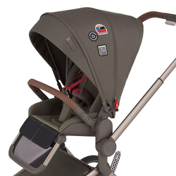 Детская коляска Anex Flo 2 в 1 Cesar