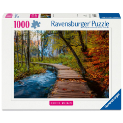 Пазл Ravensburger 017646 Осенний лес 1000 элементов 017646 — фото 1