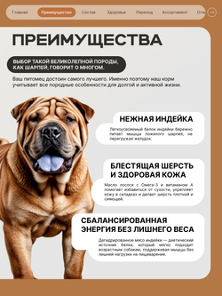 Корм сухой для пожилых собак породы Шарпей старше 5 лет, 3 кг, QUATTRO