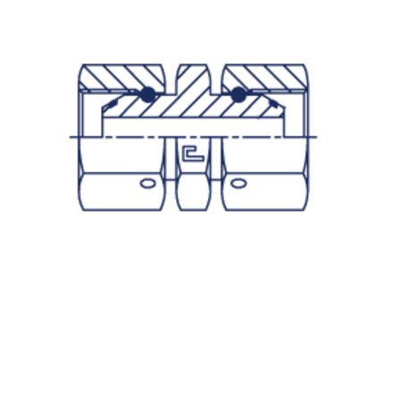 Соединение PSN BSP 1/8" BSP 1/8" CAST