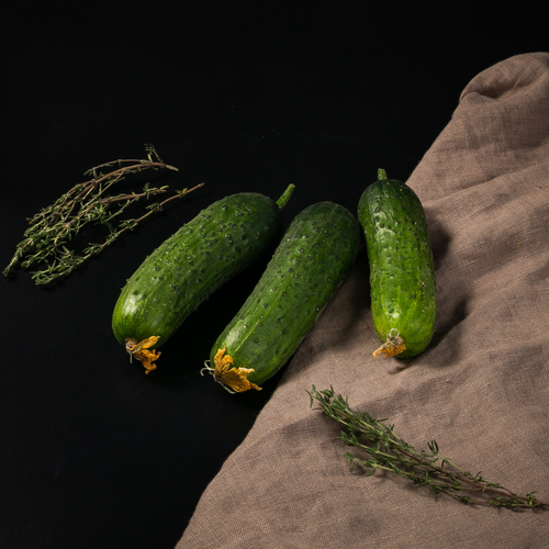 Огурцы пупырка