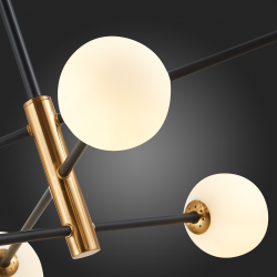 Светильник потолочный Evoluce Arcola SLE220103-06